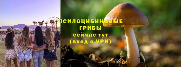 индика Нефтекумск