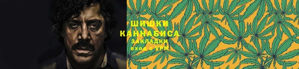 индика Нефтекумск