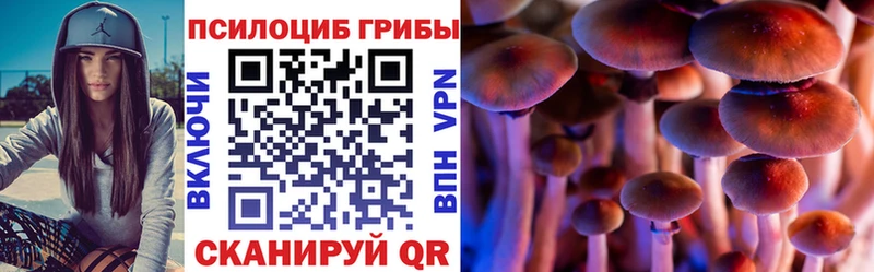 Псилоцибиновые грибы Cubensis Удомля