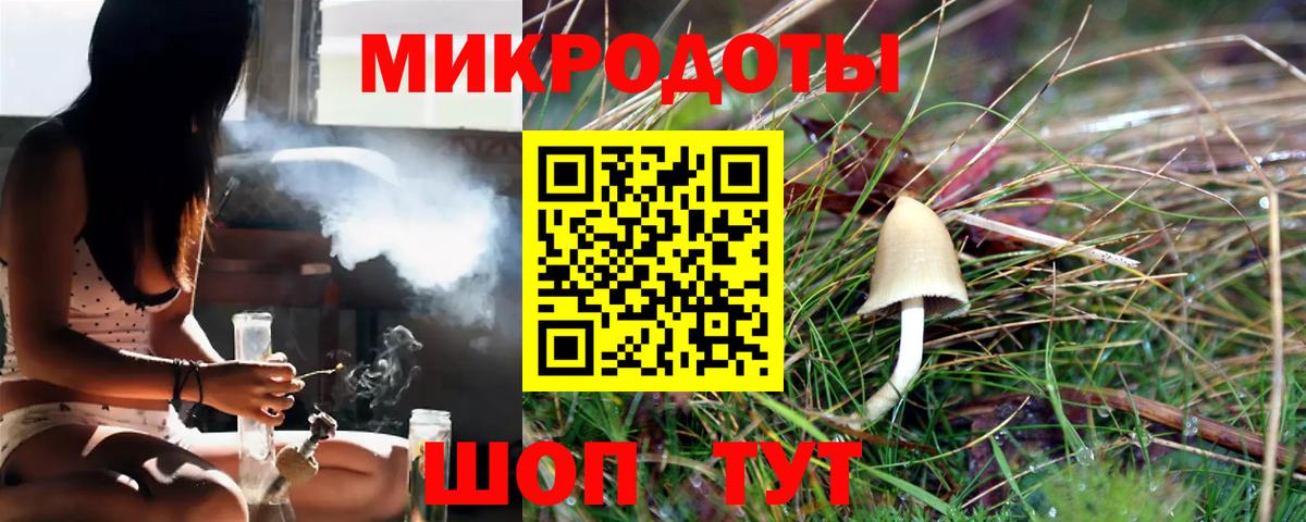 Галлюциногенные грибы Psilocybe  Вход с VPN  Удомля 