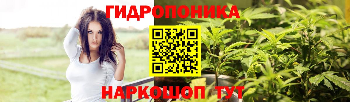 Бошки марихуана White Widow Удомля